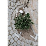 thumbnail of 5 Deko Skelett Knochen 22-44cm Kunststoff - Gruselige Skelettteile Indoor & Outdoor Partydeko Halloween Party Gruselparty Spukhaus Skelettdeko Weiß