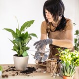 thumbnail of Relaxdays Tonspitzen Bewässerung, 6er Set, Wasserspender für Zimmerpflanzen & Balkonkästen, Gießkegel, terrakotta/grün