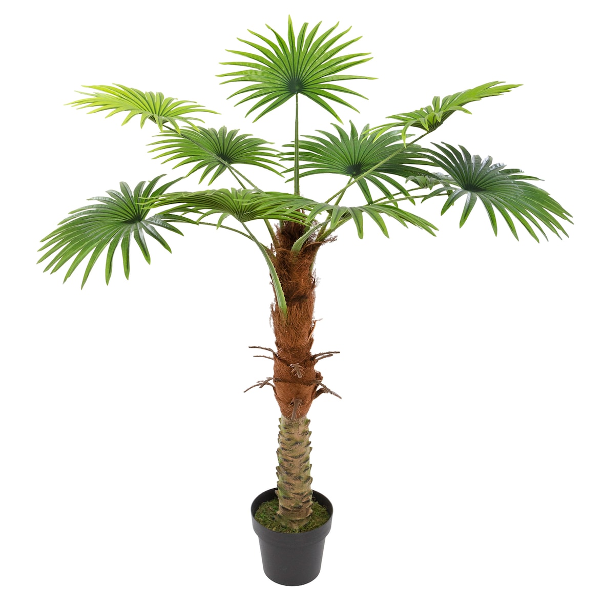 Atmosphera - Planta decorativa Tronco de Palmera