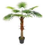 thumbnail of Atmosphera - Planta decorativa Tronco de Palmera