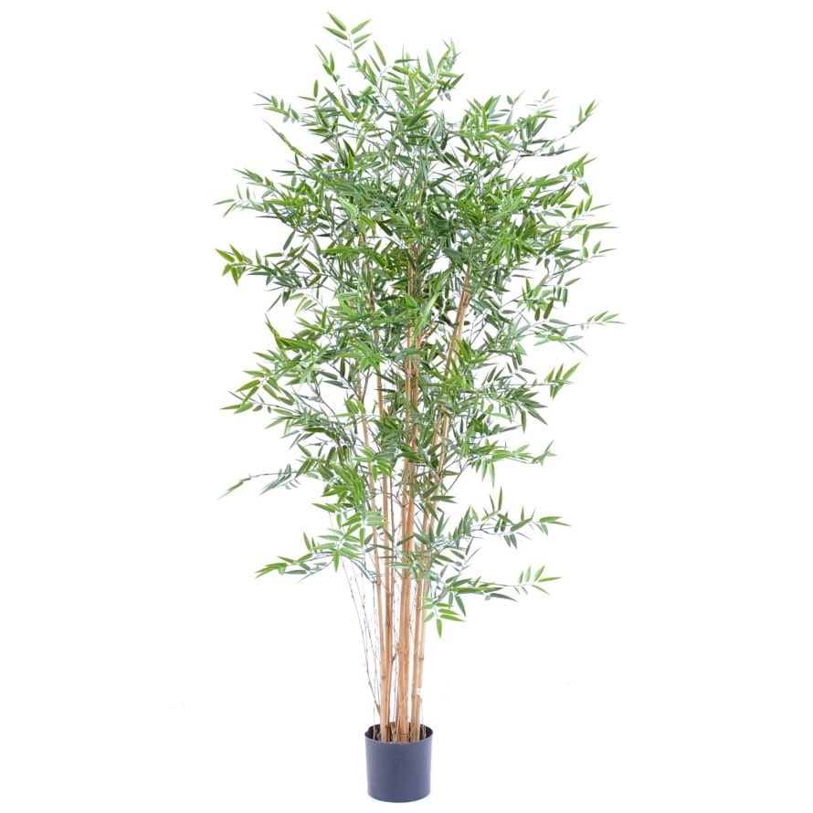 VERT ESPACE plante artificielle bambou japanese plast uv 180 cm