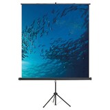 thumbnail of magnetoplan Stativleinwand Professional 6100112 150x150cm weiß