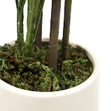 thumbnail of Pianta artificiale / Albero artificiale SCHEFFLERA 2 rami 110 cm plastica verde hjh OFFICE