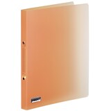 thumbnail of Brunnen Raccoglitore ad anelli FACT!, polipropilene, DIN A4, stretto, orange