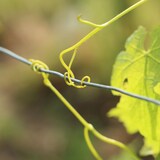 thumbnail of Relaxdays Bindedraht, 2er Set, 1mm Ø, 50m Länge, verzinkt, dünn, Gartenarbeit & Basteln, rostfreier Draht, Stahl, silber