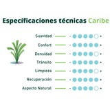 thumbnail of Césped Artificial Caribe 20 mm