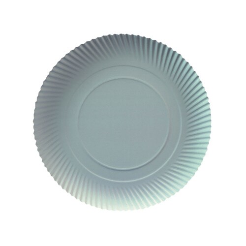 250 Pappteller Kuchenteller Imbissteller rund Ø 32 cm aus Recyclingkarton, weiß