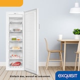 thumbnail of Exquisit Gefrierschrank, Tiefkühlschrank, 194 L, 4-Sterne-Gefrieren, Schnellgefrieren, Alarm-Funktion, Gefrierschrank NoFrost, GS4271-NF-H-010E weiss