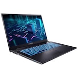 thumbnail of Captiva Notebook Power Starter I76-096 i7-1255U (17.3", 32GB, 2TB SSD, Intel UHD Graphics, DVD-RW, w/o OS)