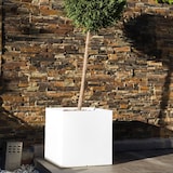 thumbnail of WellHome – Blumentopf Modell Cubo Dan-i 57 L, Farbe zementgrau