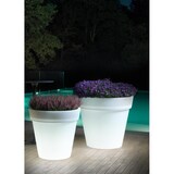 thumbnail of Lyxo Design - Vaso Gigante da Esterno - Serie Aria in Polietilene colore Ambra 80x75 cm (d x h) VA350-0800M1-120NA