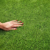 thumbnail of Cesped artificial 2m X 10m 20mm de altura alta densidad color verde