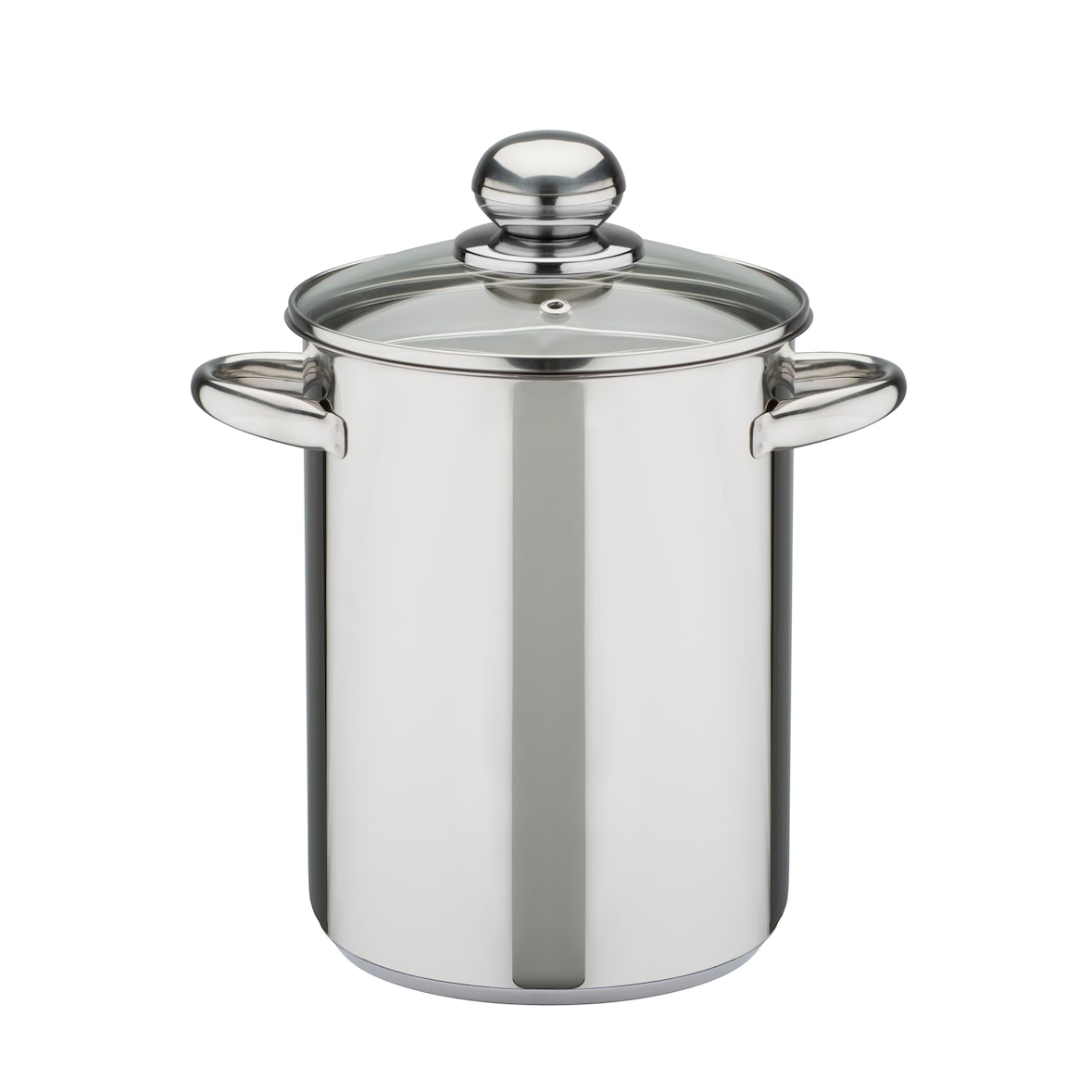 GSW Spargeltopf 16 x 21 cm mit Glasdeckel und Einsatz, 4,2 Liter, induktionsgeeignet