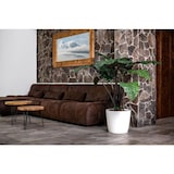 thumbnail of 8x Übertopf Ella Rollen Blumenkübel Pflanzenbox Kräutergefäß Garten Dekoration