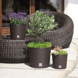 thumbnail of 2 x Blumentopf Blumenkübel Pflanzentopf Pflanzkübel Blumenkübel Rattan groß 2 x Ø 25 cm