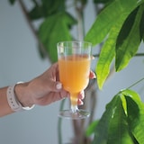 thumbnail of Verres à vin plastique transparent réutilisable 20 cL par 50