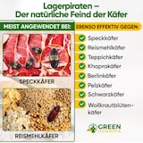 thumbnail of Lagerpiraten gegen Speckkäfer, Reismehl-/, Pelz-/ & Teppichkäfer: 5 x 30 Nützlinge für ca. 75m²