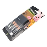 thumbnail of Duracell batterijlader Hi-Speed Advanced Charger, inclusief 2 AA en 2 AAA batterijen, op blister