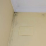 thumbnail of Detersivo antimuffa ecologico per interni (5L) - Combatte le macchie di umidità senza risciacquo. Senza solventi e senza cloro.