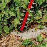 thumbnail of Einhell Akku-Heckenschere ARCURRA 18 V
