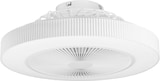 thumbnail of Orbegozo ventilador de techo con luz CP 150035, 6 velocidades, temporizador, mando a distancia, diámetro 51,5 cm, 20 W