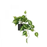 thumbnail of LIGNE DÉCO Plante artificielle tombante pothos 50cm