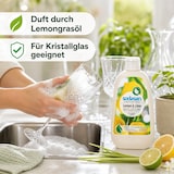 thumbnail of SODASAN Spülmittel Lemon & Lime 500ml