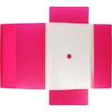 thumbnail of Clasificador PP 12 posiciones translúcido Fucsia
