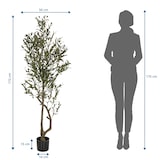 thumbnail of Pianta artificiale / albero artificiale OLIVE I 172 cm verde hjh OFFICE