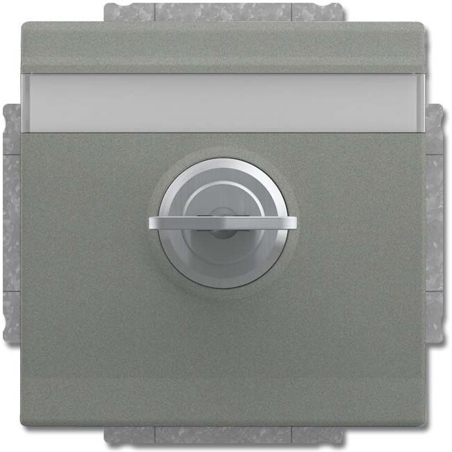 Busch-Jaeger SCHUKO Steckdosen-Einsatz 20 EUKNBSL-803-101 2CKA002018A1556