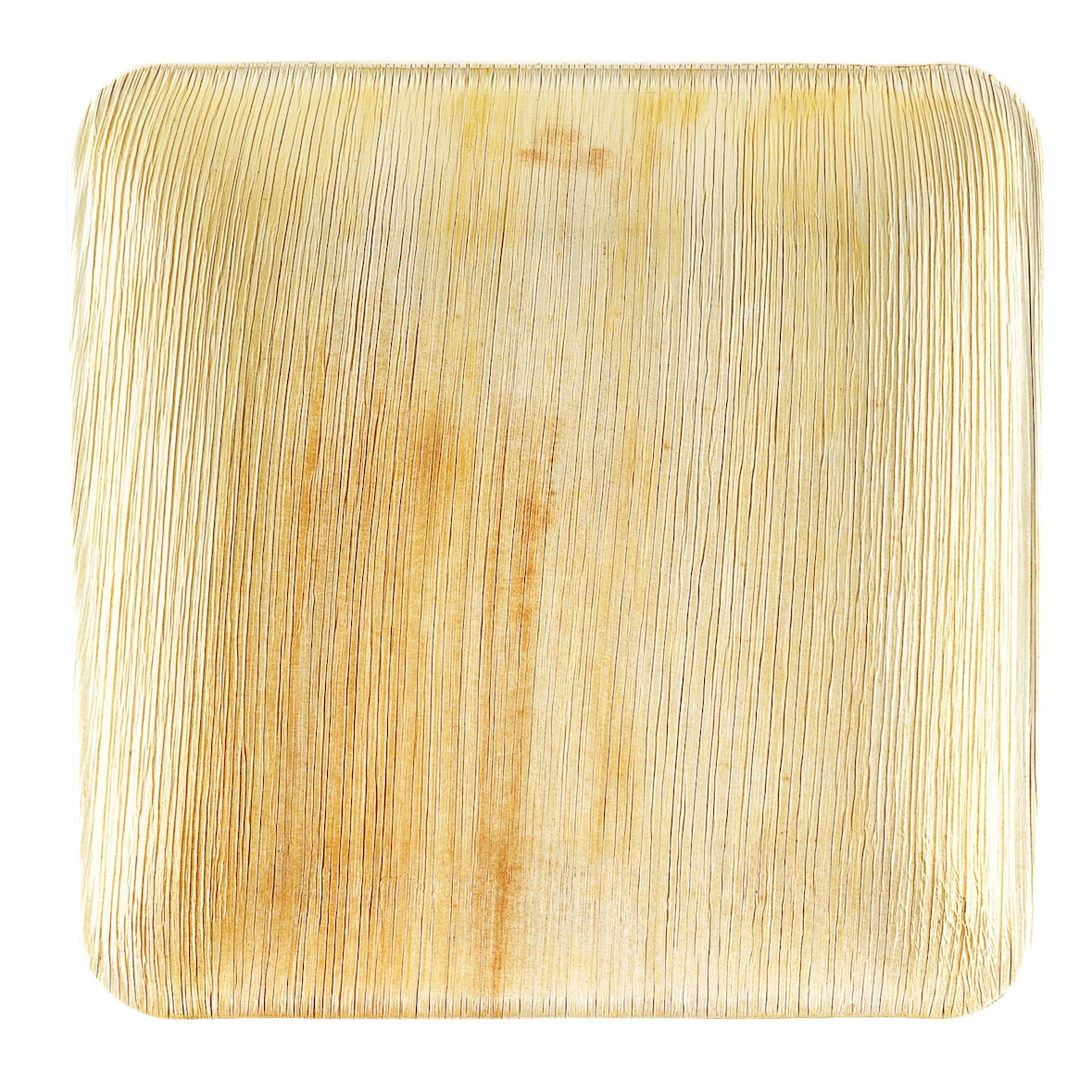 WISEFOOD 50 Teller - Palmblatt Teller quadratisch 24 x 24 cm