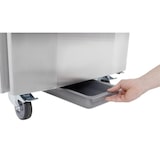 thumbnail of Armadio refrigerato da 700 litri - Positivo - Professionale - 1 porta - Polar