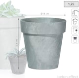 thumbnail of Prosperplast - CUBE BETON EFFECT 1,2-Liter-Topf – 14 x 14 x 12,4 cm in Betongrau farbe
