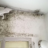 thumbnail of Pintura Térmica Anti-Condensación (15l, Blanco) - Aísla y protege frente a humedad por condensación