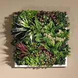 thumbnail of CUADRO VEGETAL ARTIFICIAL Naturing Monde ALLEGRA - 50 x 50 cm