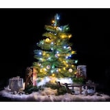 thumbnail of 18x Lichterkette 80 LED multicolor 16m bunt, innen & außen