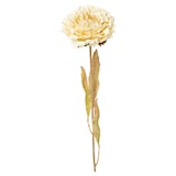 thumbnail of CREATIV green künstliche Pflanze Peonie, 64cm, creme, 6er Set