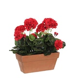 thumbnail of Geranio Pvc Rojo En Jardinera Para Balcon 29X13X40Cm