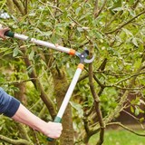 thumbnail of SIENA GARDEN CL2660  Bypass Astschere CL2660