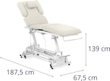thumbnail of Helloshop26 - Massageliege mit 3 Motoren 250 kg beige