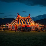 thumbnail of Illu- Party Lichterkette Außenlichterkette 5m schwarz 10 bunte LED Kugellampen
