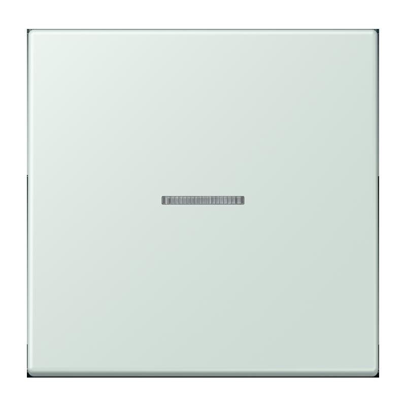 Jung Wippe mit Lichtleiter LC 101 KO5 215 LC101KO5215