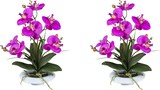 thumbnail of CREATIV green künstliche Pflanze Orchidee, 41 cm 2er Set