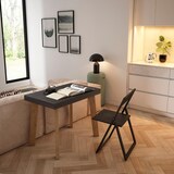 thumbnail of Ausziehbarer Konsolentisch, 262x90x73cm, Für 12 Personen, Holzbeine, Moderner Stil, Schwarz _ 358_49
