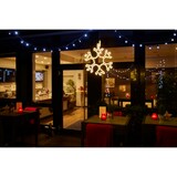 thumbnail of METRO Professional Fiocco di neve decorativo, alluminio/pvc/rame, 38 x 2 x 40 cm, 108 LED, 13,8 W, bianco caldo/freddo