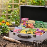 thumbnail of HMF Vintage Deko Koffer aus Holz, Aufbewahrungsbox mit Deckel und Ledergriff, stilvolle Aufbewahrung und Geschenkidee, Rose, 2er Set, 38 + 44 cm