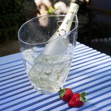 thumbnail of Koala Nature Balde Gelo  Acrílico 25,3X24,1X20,8Cm/3,5L