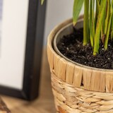 thumbnail of Innovativer Blumentopf geflochten aus Wasserhyazinthe, mit Pflanztopf aus nachhaltigen Rohstoffen, Rund, HMF 37280, 14 cm Durchmesser