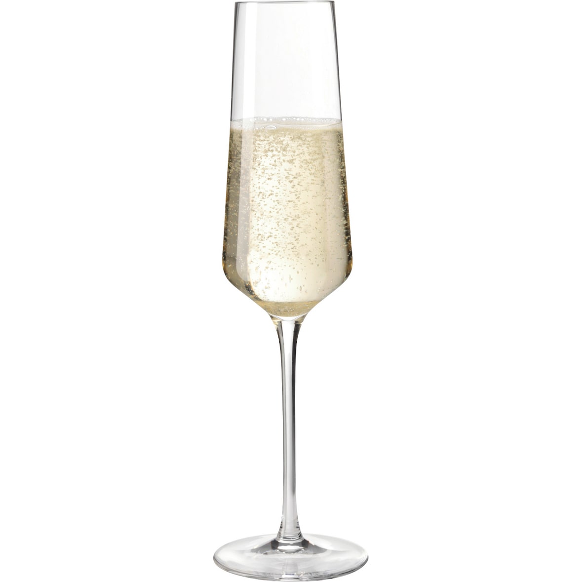 LEONARDO Sektglas PUCCINI, 280 ml, 6er-Set