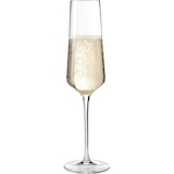 thumbnail of LEONARDO Sektglas PUCCINI, 280 ml, 6er-Set